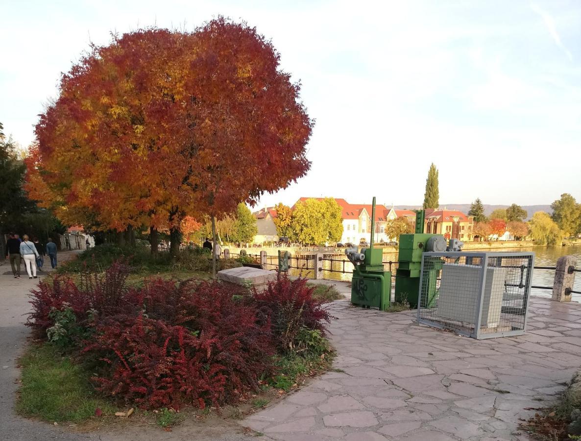 Bed and Breakfast Panzio Tata Zewnętrze zdjęcie